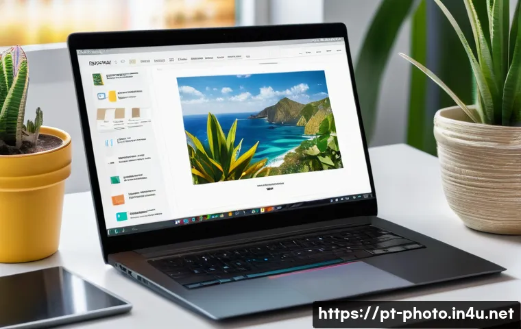 사진 자격증으로 시장 경쟁력을 높이는 방법 관련 이미지 1